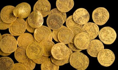 “Kho báu” tiền xu vàng nằm trong công viên bảo tồn