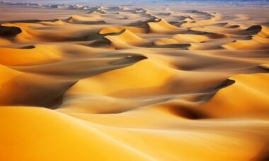 Quá trình biến Sahara từ rừng rậm thành sa mạc