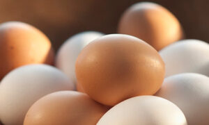 Trứng với tỏi đại kỵ, gây ngộ độc ngay lập tức là quan điểm sai lầm