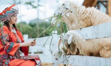 Khám phá địa điểm check in Tết dương lịch 2024 ở Đà Nẵng