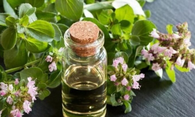 Loại gia vị quen thuộc nhưng lại có công dụng chữa “bách bệnh”