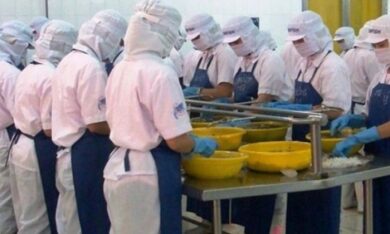 Sau khi tăng 250% trong 10 phiên, cổ phiếu một doanh nghiệp thủy sản diễn biến ra sao?