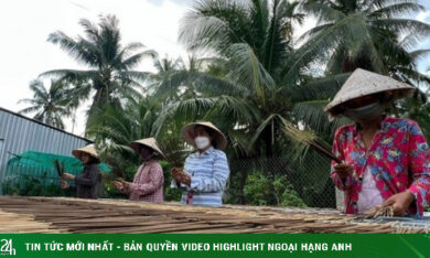Khởi nghiệp từ cây cỏ dại, cô giáo tạo thu nhập cho nhiều người