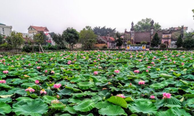 Hai khu du lịch cấp thành phố vừa được công nhận ở Hà Nội có gì đặc biệt?