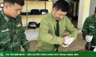 Bài thuốc dân gian từ con nhái cứu sống người ngộ độc lá ngón