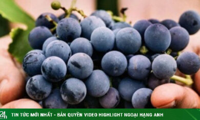 Ăn nho thường xuyên, cơ thể biến đổi ngạc nhiên