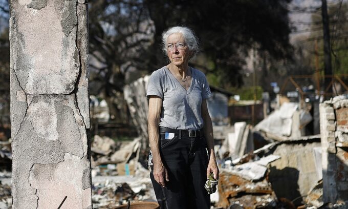 Người Los Angeles lo khó tái thiết hậu cháy rừng vì đòn thuế của ông Trump