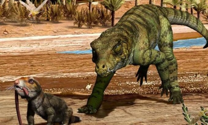 Bí quyết giúp cá sấu sống sót qua các cuộc đại tuyệt chủng