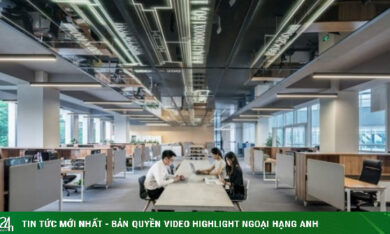 Trào lưu kỳ quái của giới trẻ thất nghiệp Trung Quốc