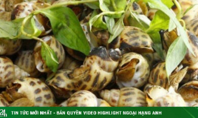 Cách nướng ốc hương bằng nồi chiên không dầu thơm ngon, càng ăn càng ghiền
