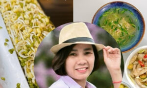 Cô giáo mầm non mách mẹo làm giá đỗ bằng hộp sữa, chia sẻ nhiều mâm cơm hút mắt