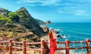 Về Gia Lai và Đắk Lắk ngắm voi rừng, săn cá voi giữa biển