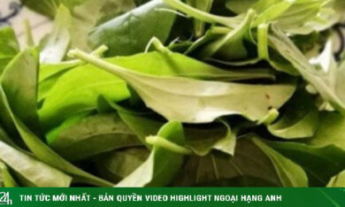 Loại rau mùa hè mọc dại khắp nơi, người Việt ăn theo cách này để chữa viêm tiết niệu, bệnh mãn tính