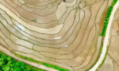 Ruộng bậc thang Pù Luông mùa nước đổ đẹp nao lòng