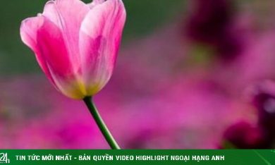 Càng mặc kệ, cuộc sống càng may mắn