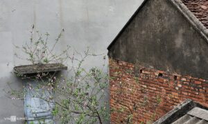 Một tờ giấy viết tay từ lâu, có đủ ‘mạnh’ để đi đòi đất?