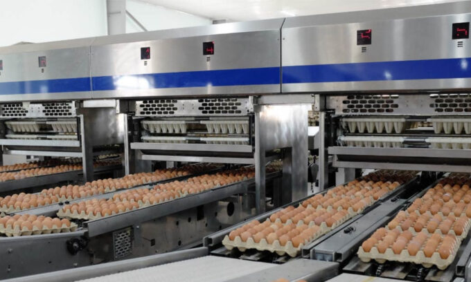 Chủ tịch và CEO Bamboo Airways bất ngờ xin nghỉ; con trai Bầu Đức lộ diện