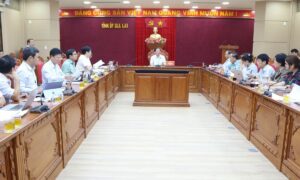 Gia Lai đặt mục tiêu vào top đầu chuyển đổi số cả nước
