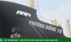 ‘Đại gia’ vận tải biển một thời ngập trong thua lỗ hơn 5.500 tỷ đồng