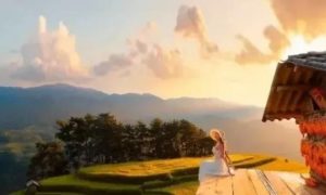 Đồi Móng Ngựa ‘toạ độ’ ngắm mùa lúa chín siêu thực ở Mù Cang Chải