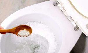 Lý do nhiều người đổ muối vào bồn cầu tắc nghẽn