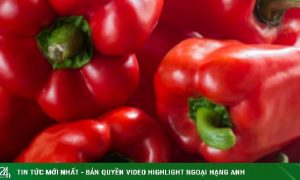 6 loại thực phẩm giúp lá phổi khỏe mạnh hơn mỗi ngày