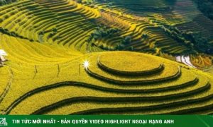 Mù Cang Chải vắng vẻ, khách ‘bao cả ruộng’ chụp ảnh