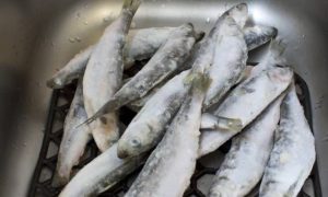 2 cách rã đông cá nhanh gọn, hiệu quả, ai cũng có thể làm được