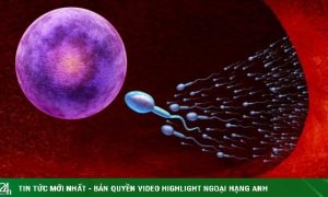 10 cách tăng số lượng tinh trùng, quý ông nhất định phải biết