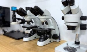 Tối ưu chi phí kiểm tra chất lượng sản phẩm nhờ đầu tư kính hiển vi phù hợp