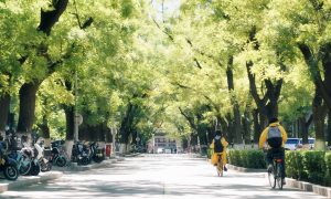 Điều kiện, thủ tục nộp học bổng chính phủ Trung Quốc năm 2026