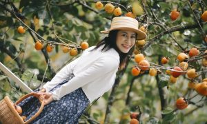 Vườn hồng Đà Lạt, nơi ai bước vào cũng hóa đoan trang