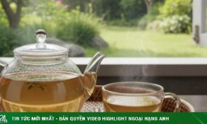 Tám lý do để bạn uống 3 tách trà xanh mỗi ngày